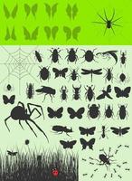 The big collection of insects. A vector illustration