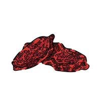 goji dried red sketch hand drawn vector