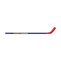 leisure hockey stick cartoon vector illustration