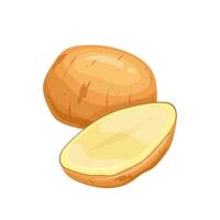 potato food cartoon vector illustration