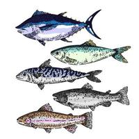comida de pescado conjunto boceto dibujado a mano vector
