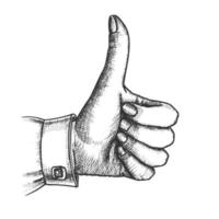 Female Hand Make Gesture Thumb Finger Up Vector