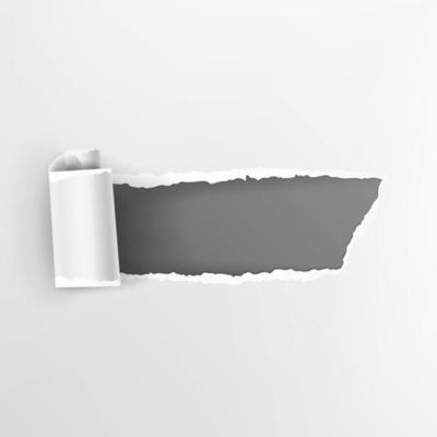 Torn Paper With Curls Vector. Realistic Hole In Paper Isolated. Element For Your Design.