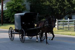 vagón buggy en lancaster pennsylvania país amish foto