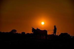 amish mientras cultiva con caballos al atardecer foto