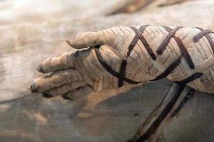 Egyptian mummy hand close up photo