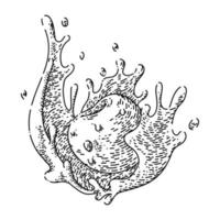 cereza splash boceto dibujado a mano vector