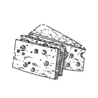 swiss cheese sketch hand drawn vector