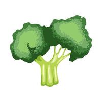 broccoli fresh cartoon vector illustration