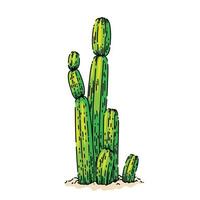 desierto de cactus boceto dibujado a mano vector