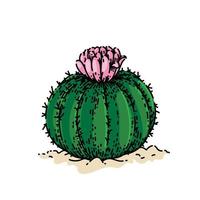 flor de cactus boceto dibujado a mano vector