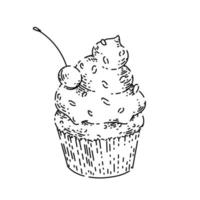 cupcake sketch hand drawn vector