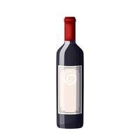 wine bottle cartoon vector illustration