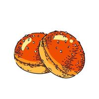 bun bread sketch hand drawn vector