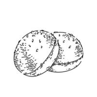 bun bread sketch hand drawn vector