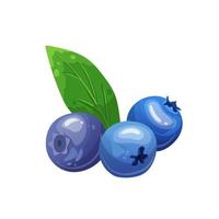 blueberry fruit cartoon vector illustration