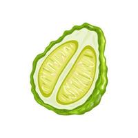 bergamot cut cartoon vector illustration