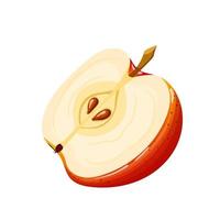 apple cut slice cartoon vector illustration