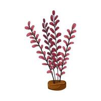 water aquarium plant cartoon vector illustration