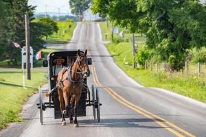 LANCASTER, USA - JUNE 25 2016 - Amish driving a chariot in Lancaster photo
