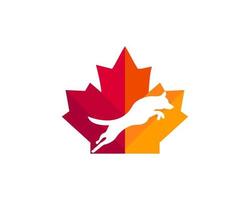 Maple Dog Charity logo design. Canadian Pet logo. Red Maple leaf with Jumping dog vector