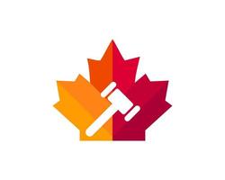 diseño del logotipo de la ley de arce. logotipo de la ley canadiense. hoja de arce roja con concepto de ley vector