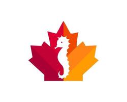 diseño del logotipo del caballo de mar de arce. logotipo de caballito de mar canadiense. hoja de arce roja con vector de caballito de mar