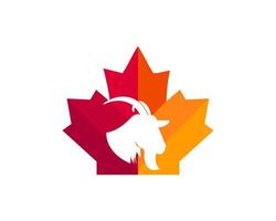 Maple Goat logo design. Canadian Goat logo. Red Maple leaf with goat vector