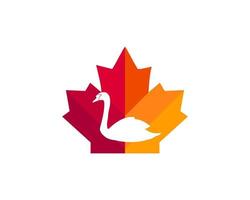 diseño del logo del cisne de arce. logotipo del cisne canadiense. hoja de arce roja con vector de cisne