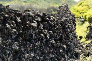 Pico Island Azores vineyard wine grapes protected by lava stone aerial view photo