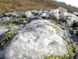 lichen on mountain rocks view photo