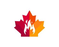 diseño del logotipo de fuego de arce. logotipo de fuego canadiense. hoja de arce roja con vector de fuego