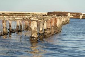 Mussels breeding in Chioggia Italy photo