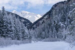 snow hiking forest panorama landscape mountains of Santa Caterina valfurva italian Alps in winter photo