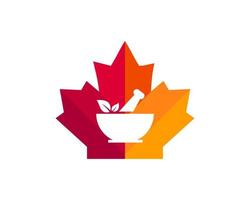 Maple Pharmacy logo design. Canadian Medical pharmacy logo. Red Maple leaf with Ayurveda herbal vector