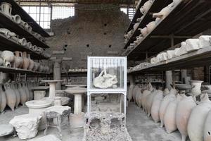 pompei ruins statue buried dog corpse photo