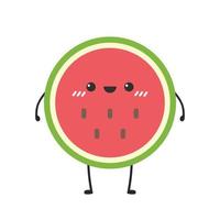 water melon character vector. melon on white background. wallpaper. symbol. logo design. vector