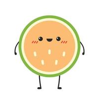 melon character vector. melon on white background. wallpaper. symbol. logo design. vector
