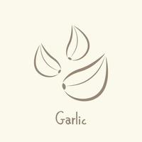 Garlic and blank pepper vector. Garlic logo design. Garlic symbol. wallpaper. free space for text. vector