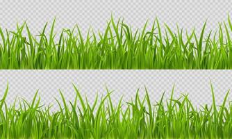 Seamless grass, realistic lawn horizontal pattern vector