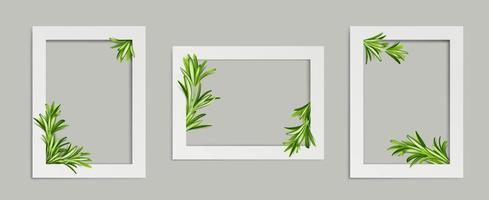 Rosemary photo frames, white rectangular borders vector