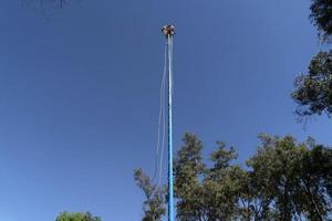 ciudad de méxico, méxico - 30 de enero de 2019 - la antigua danza de los volantes los voladores foto