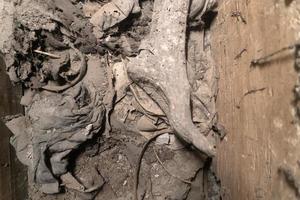 NAPLES, ITALY - FEBRUARY 1 2020 - nobles tombs skeleton in Novo New castle in Naples prison photo