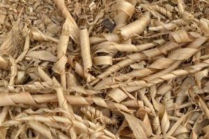 Wood chippings in sawmill detail photo