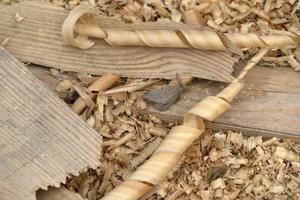 Wood chippings in sawmill detail photo