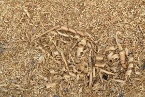 Wood chippings in sawmill detail photo