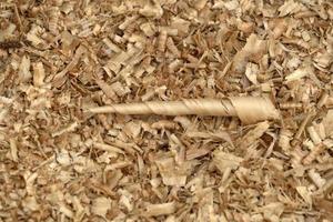 Wood chippings in sawmill detail photo