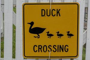 Red duck crossing sign photo