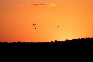 Vendicari Saline bird reserve at sunset photo