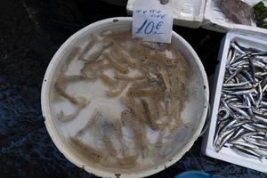 mercado de pescado de la calle de nápoles en el distrito español foto